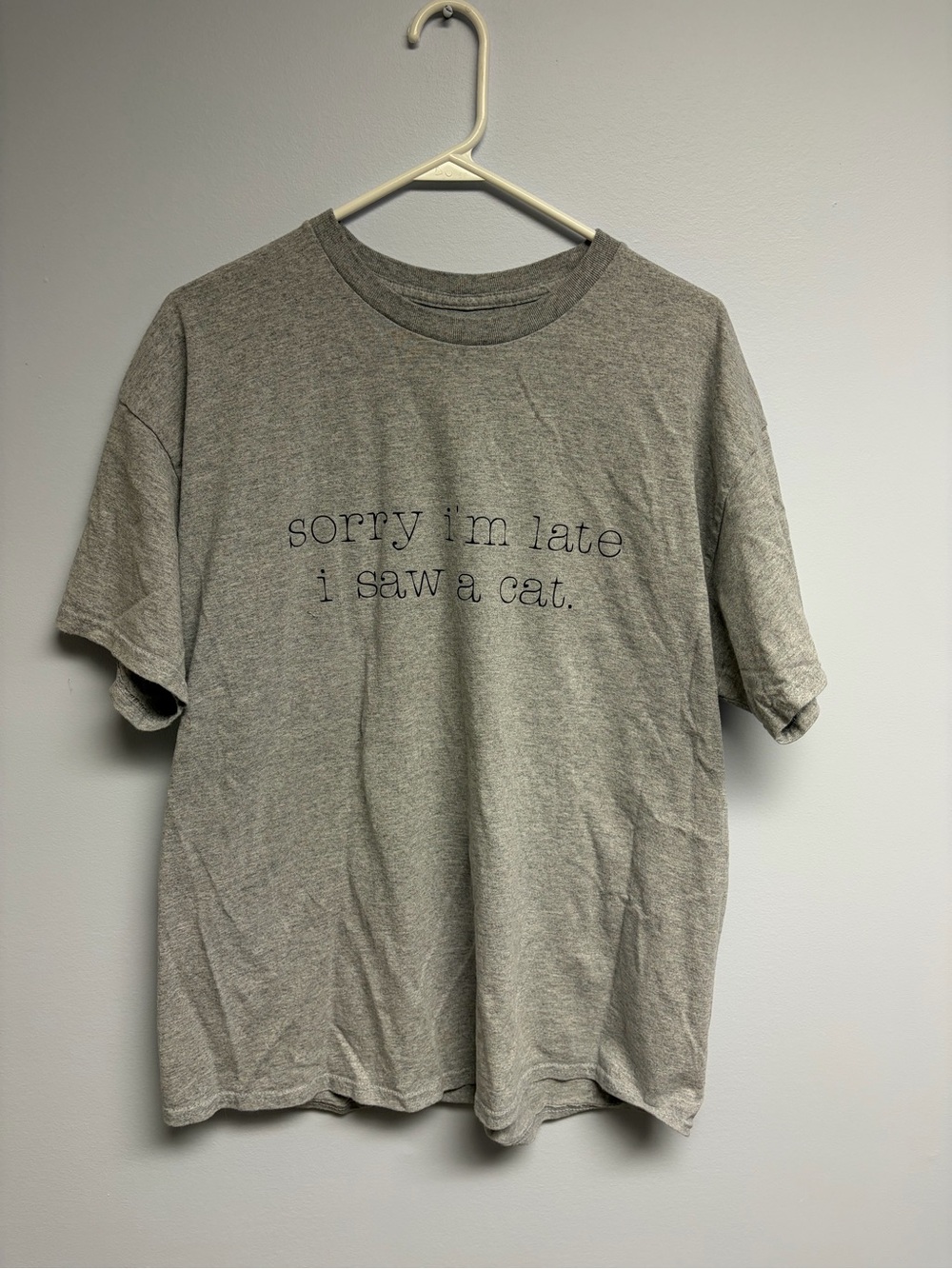 Sorry I'm Late I saw a cat Graphic Tee - Gray